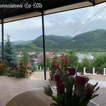 农家乐 Agropensiunea La Uta Rebrisoara